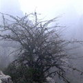 El Torcal bei Nebel Im Winter